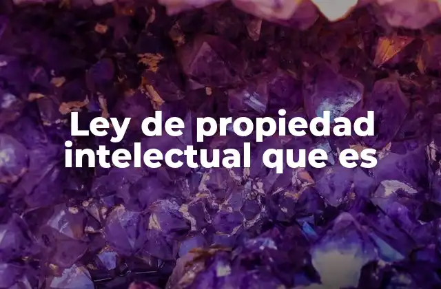 Ley de Propiedad Intelectual que es