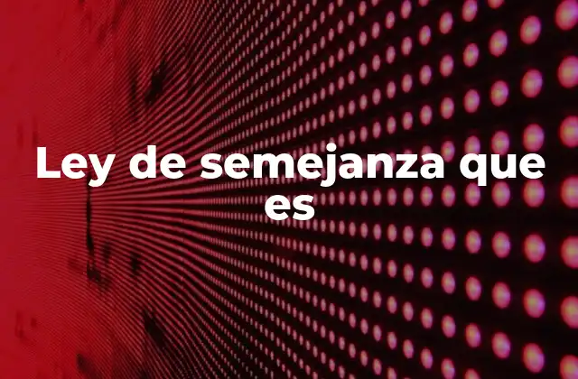 Cómo el cerebro organiza la información visual