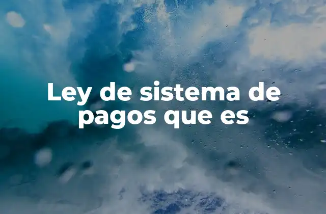 Ley de Sistema de Pagos que es