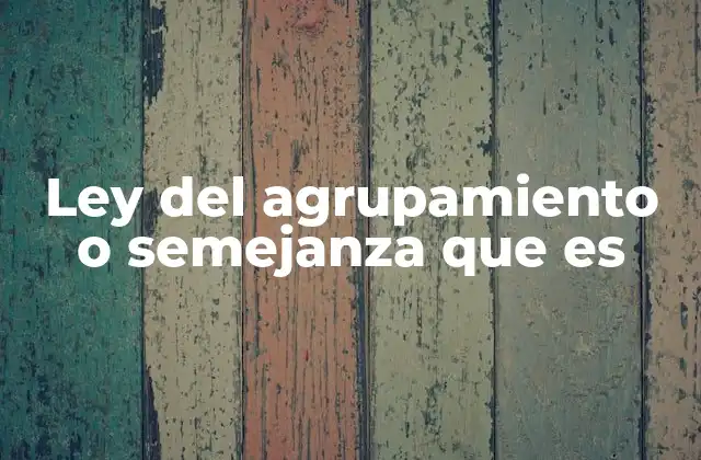 Ley Del Agrupamiento o Semejanza que es