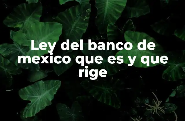 Ley Del Banco de Mexico que es y que Rige