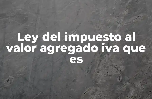 Ley Del Impuesto Al Valor Agregado Iva que es