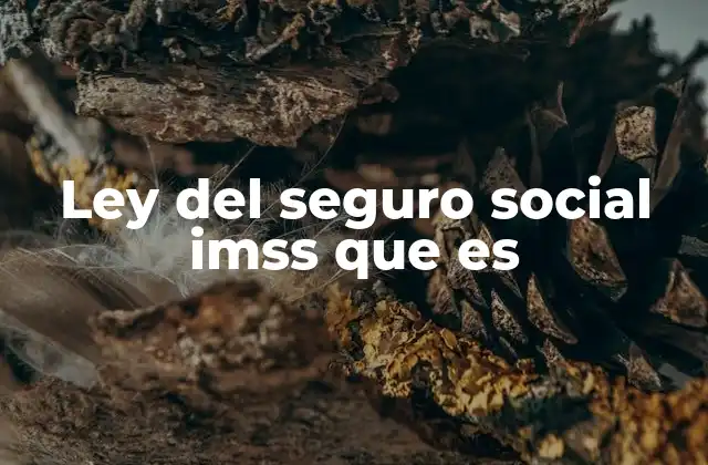 Ley Del Seguro Social Imss que es