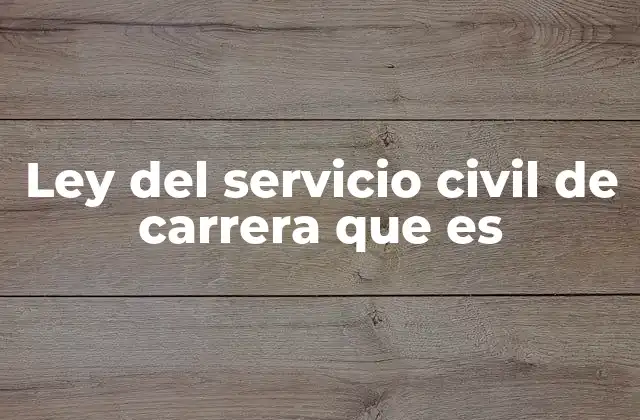 Ley Del Servicio Civil de Carrera que es 2 El rol de la estabilidad en la función pública