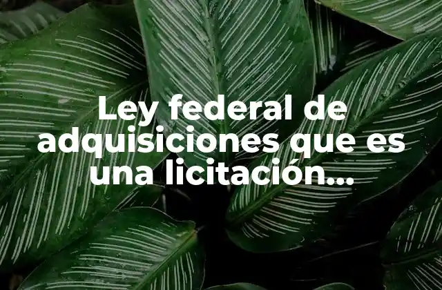 Ley Federal de Adquisiciones que es una Licitación Simplificada