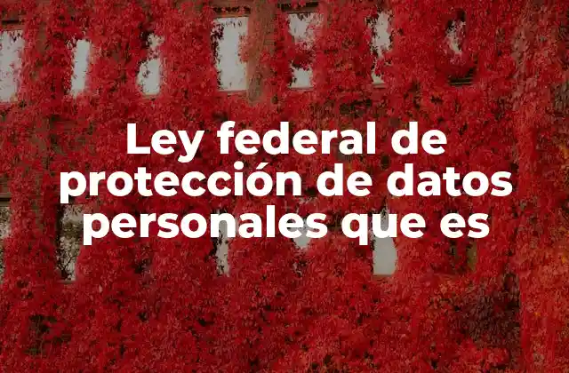 Ley Federal de Protección de Datos Personales que es