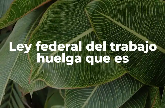 Ley Federal Del Trabajo Huelga que es