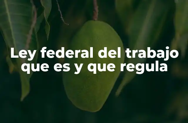 Ley Federal Del Trabajo que es y que Regula
