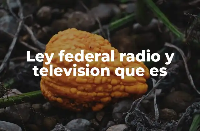 Ley Federal Radio y Television que es
