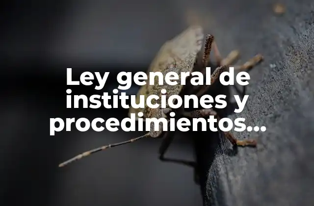 Ley General de Instituciones y Procedimientos Electorales que es