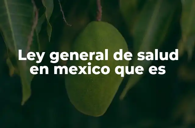 El papel de la ley general de salud en el sistema sanitario mexicano