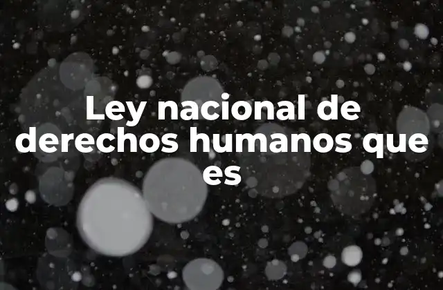 Ley Nacional de Derechos Humanos que es