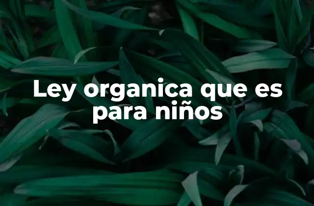 Cómo las leyes orgánicas protegen a los niños
