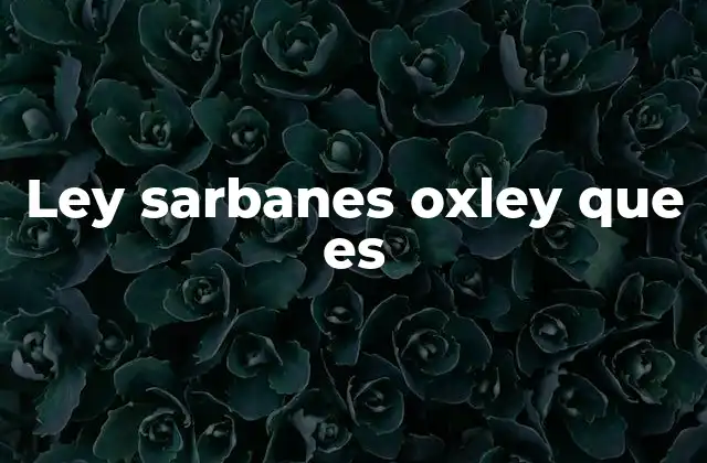 El impacto de la Ley Sarbanes-Oxley en las empresas