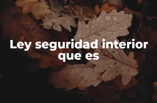 Ley Seguridad Interior que es
