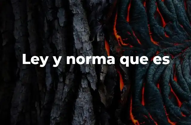 Ley y Norma que es