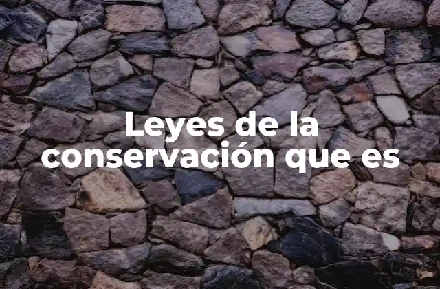 Cómo las leyes de la conservación estructuran la física moderna