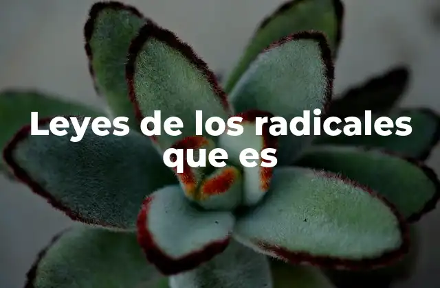 Leyes de los Radicales que es
