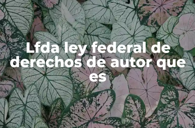 Lfda Ley Federal de Derechos de Autor que es