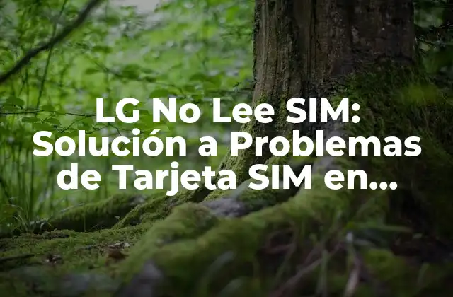 Lg No Lee Sim: Solución a Problemas de Tarjeta Sim en Teléfonos Lg