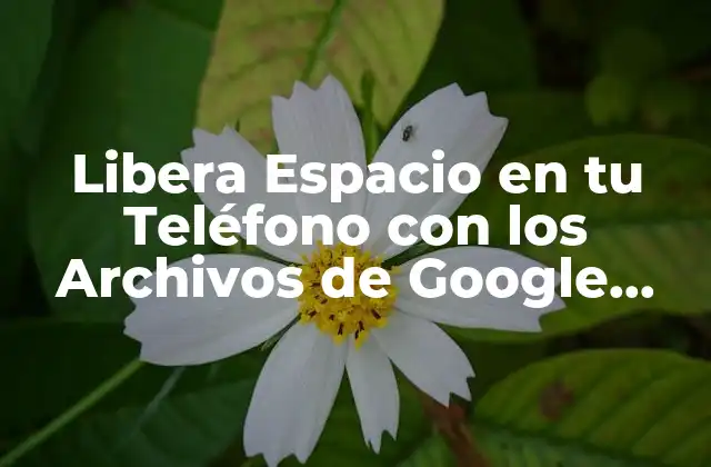 Libera Espacio en Tu Teléfono con los Archivos de Google (files de Google)