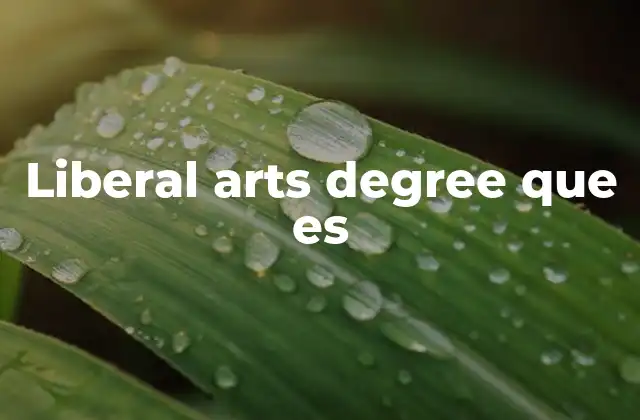 Liberal Arts Degree que es 2 El enfoque integral de la educación liberal arts