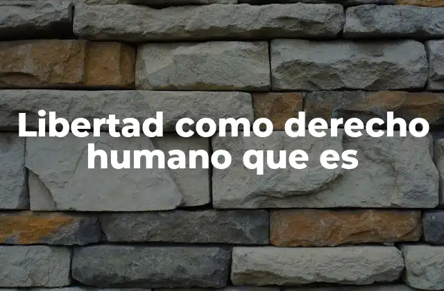 Libertad como Derecho Humano que es