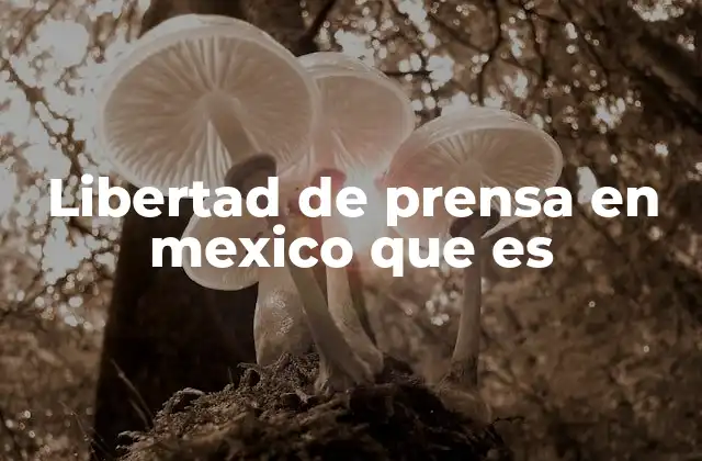 Libertad de Prensa en Mexico que es