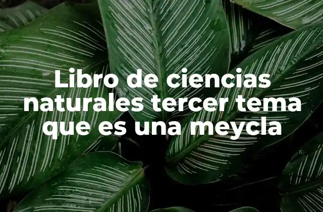 Libro de Ciencias Naturales Tercer Tema que es una Meycla