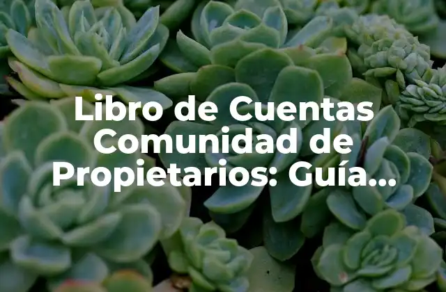 Libro de Cuentas Comunidad de Propietarios: Guía Completa para Administrar Tus Gastos