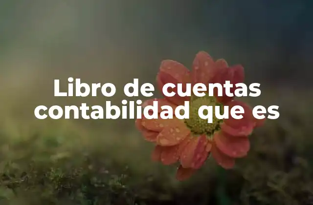 Libro de Cuentas Contabilidad que es