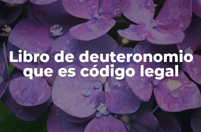 Libro de Deuteronomio que es Código Legal