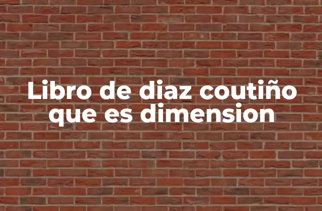 Libro de Diaz Coutiño que es Dimension