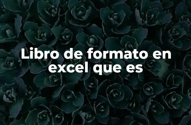 Libro de Formato en Excel que es