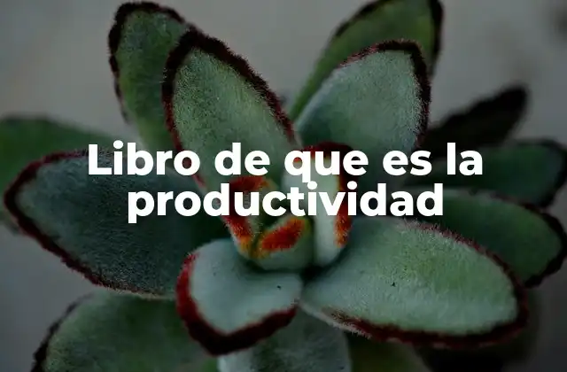 Libro de que es la Productividad
