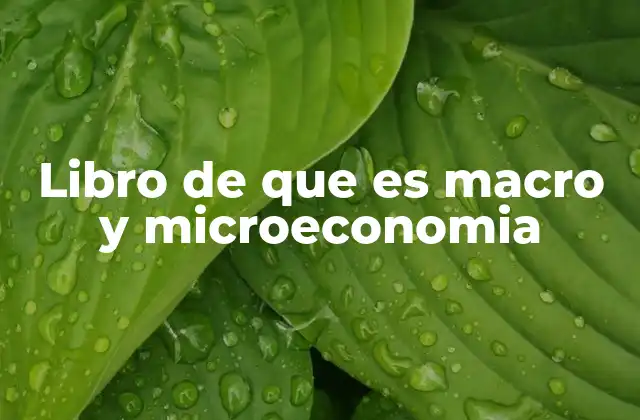 Libro de que es Macro y Microeconomia