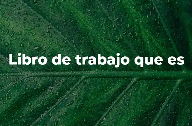 El papel del libro de trabajo en el proceso contable