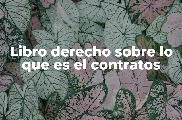 La importancia de los contratos en el derecho privado