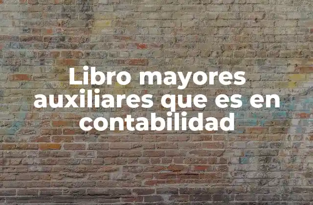 La importancia de los libros auxiliares en la contabilidad