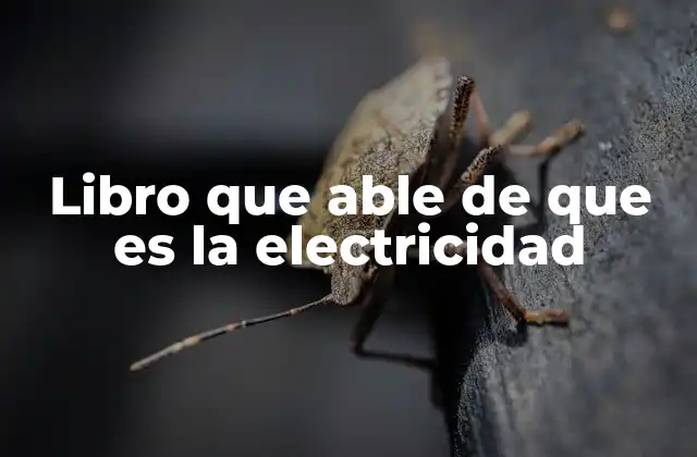 Libro que Able de que es la Electricidad