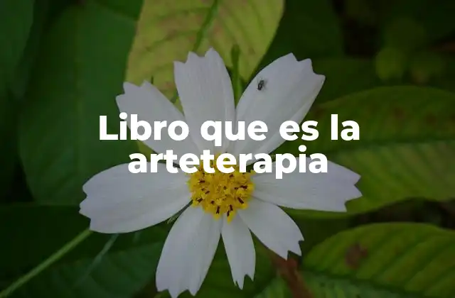 Libro que es la Arteterapia