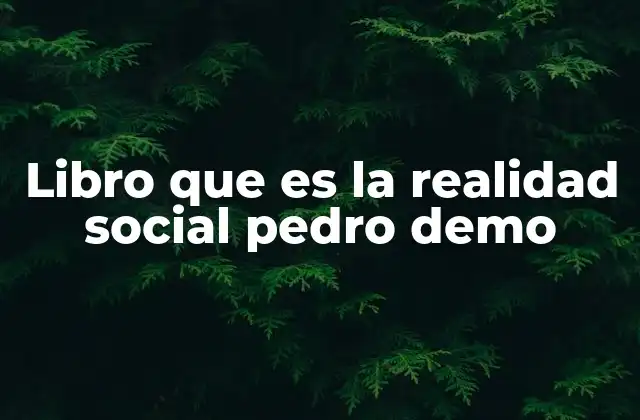 Libro que es la Realidad Social Pedro Demo