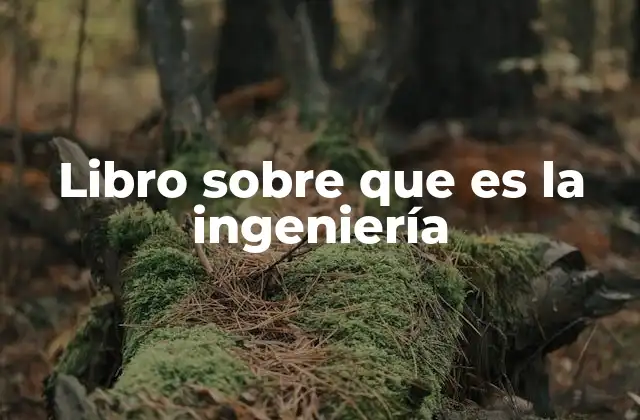 Libro sobre que es la Ingeniería