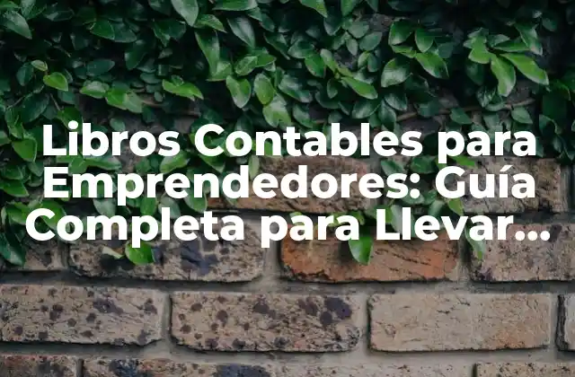 Libros Contables para Emprendedores: Guía Completa para Llevar la Contabilidad de un Negocio