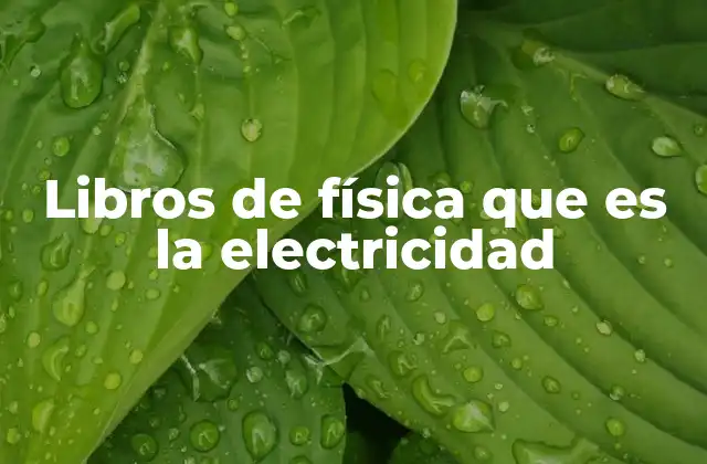 Libros de Física que es la Electricidad