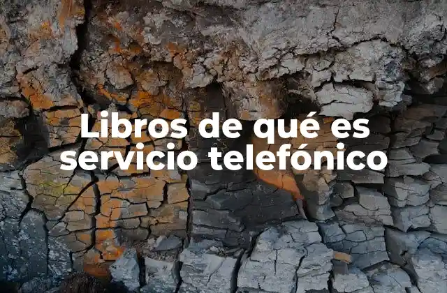 Libros de Qué es Servicio Telefónico