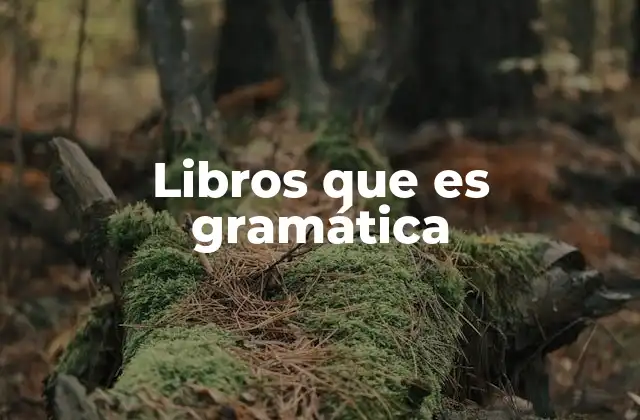 Libros que es Gramática