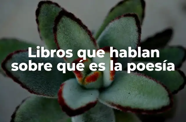 Libros que Hablan sobre Qué es la Poesía