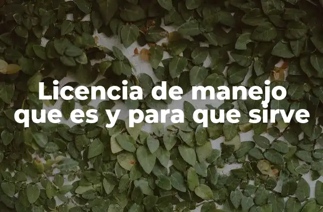 La importancia de la documentación para la movilidad