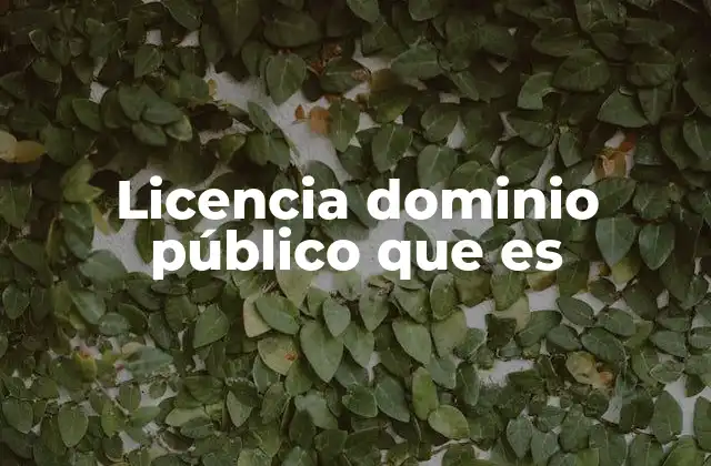 La importancia del dominio público en la cultura digital